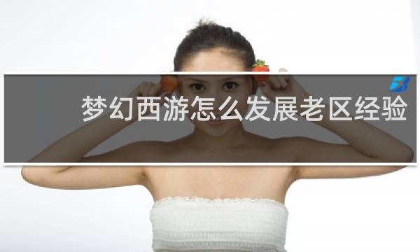 梦幻西游怎么发展老区经验