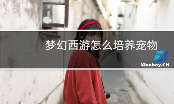 梦幻西游怎么培养宠物