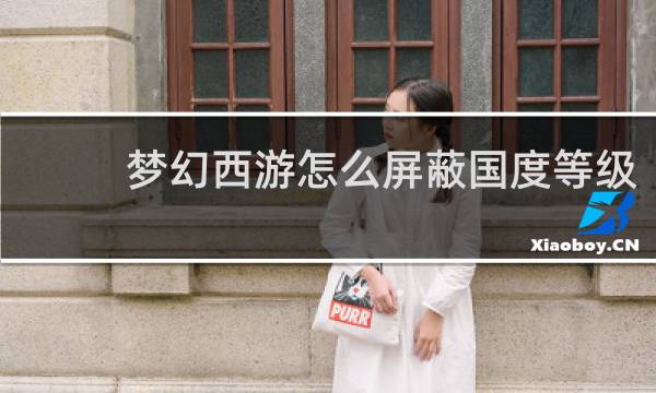 梦幻西游怎么屏蔽国度等级