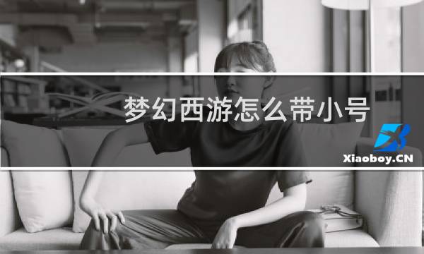 梦幻西游怎么带小号