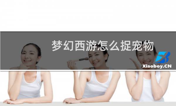 梦幻西游怎么捉宠物