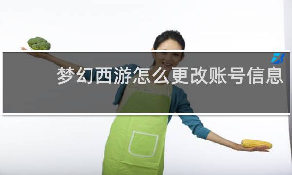 梦幻西游怎么更改账号信息