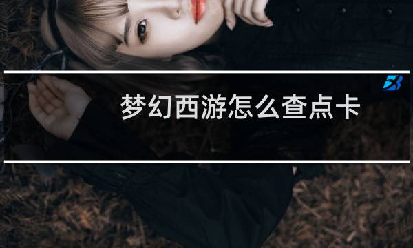 梦幻西游怎么查点卡
