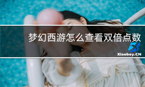 梦幻西游怎么查看双倍点数