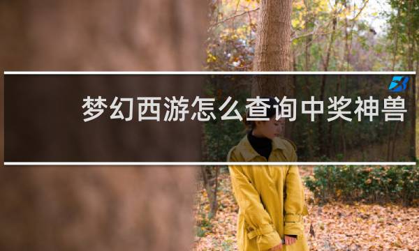 梦幻西游怎么查询中奖神兽