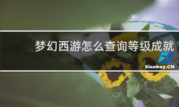 梦幻西游怎么查询等级成就