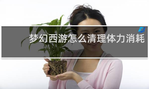 梦幻西游怎么清理体力消耗