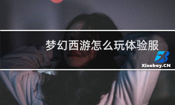 梦幻西游怎么玩体验服