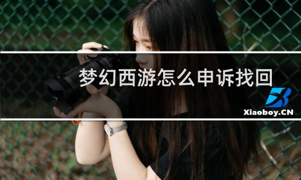 梦幻西游怎么申诉找回