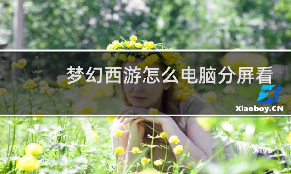 梦幻西游怎么电脑分屏看