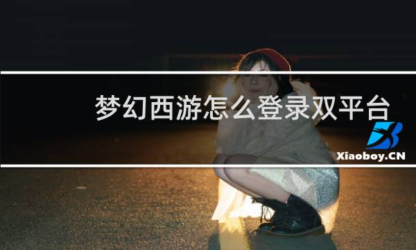 梦幻西游怎么登录双平台