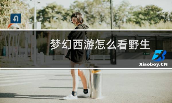 梦幻西游怎么看野生