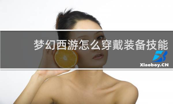 梦幻西游怎么穿戴装备技能