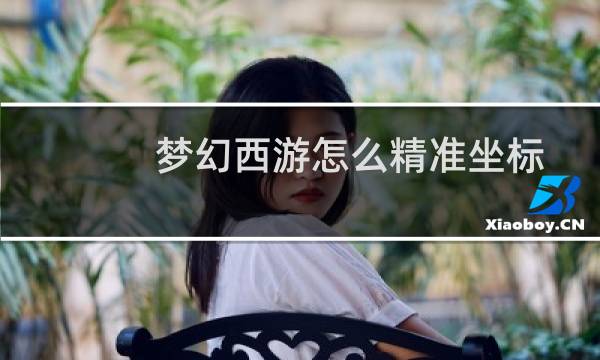 梦幻西游怎么精准坐标