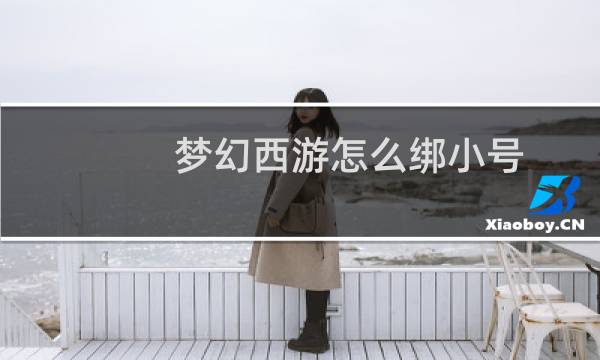 梦幻西游怎么绑小号