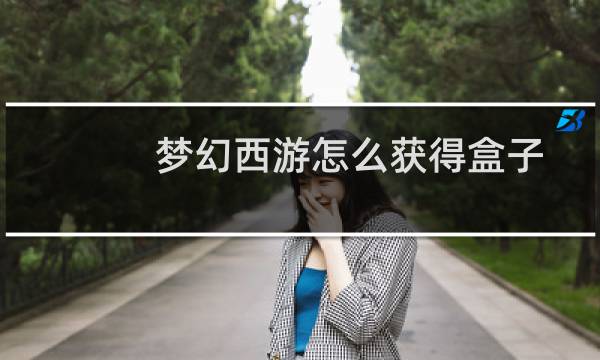 梦幻西游怎么获得盒子