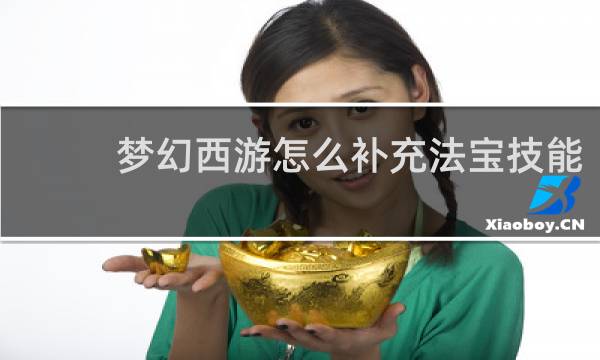 梦幻西游怎么补充法宝技能