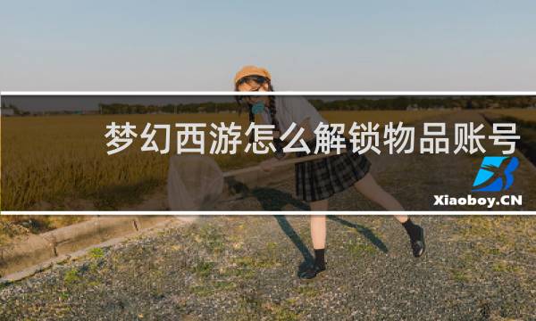 梦幻西游怎么解锁物品账号