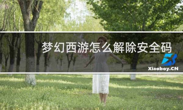 梦幻西游怎么解除安全码