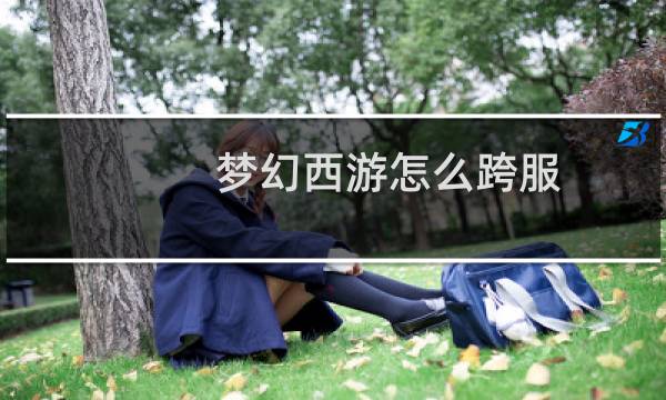 梦幻西游怎么跨服