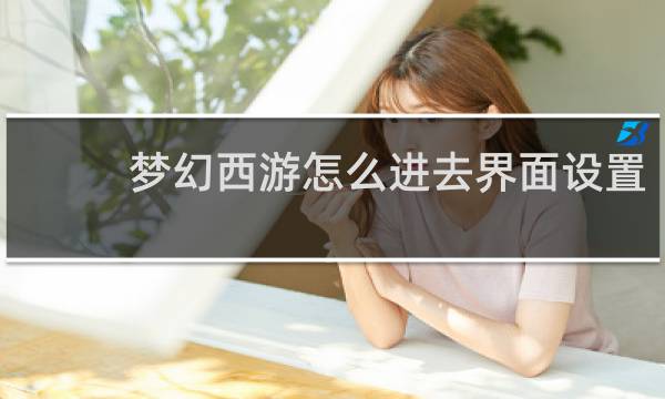 梦幻西游怎么进去界面设置