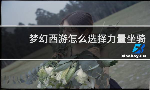 梦幻西游怎么选择力量坐骑