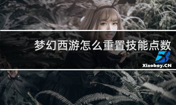 梦幻西游怎么重置技能点数