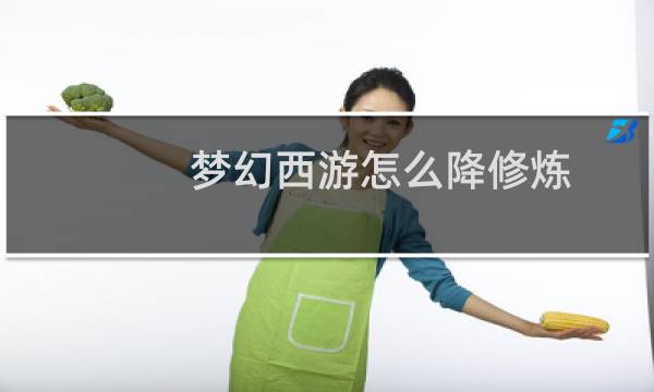 梦幻西游怎么降修炼