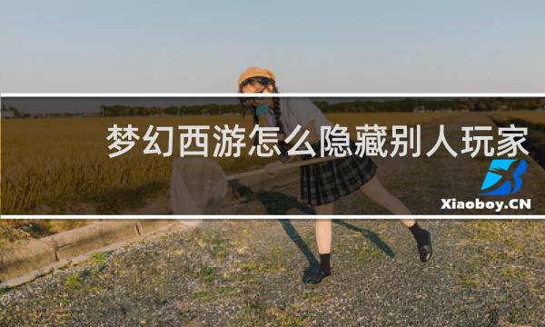梦幻西游怎么隐藏别人玩家