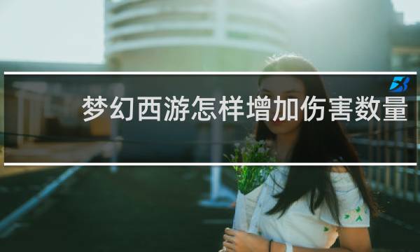梦幻西游怎样增加伤害数量