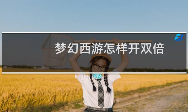 梦幻西游怎样开双倍