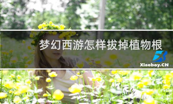 梦幻西游怎样拔掉植物根