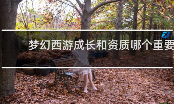 梦幻西游成长和资质哪个重要