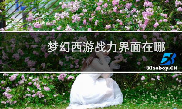 梦幻西游战力界面在哪