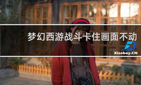 梦幻西游战斗卡住画面不动