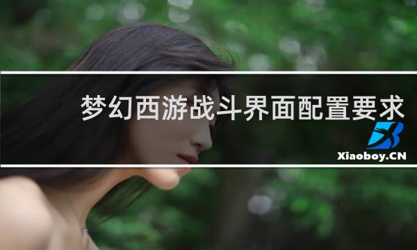 梦幻西游战斗界面配置要求
