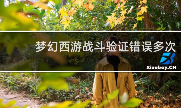 梦幻西游战斗验证错误多次