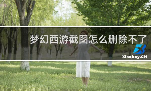 梦幻西游截图怎么删除不了