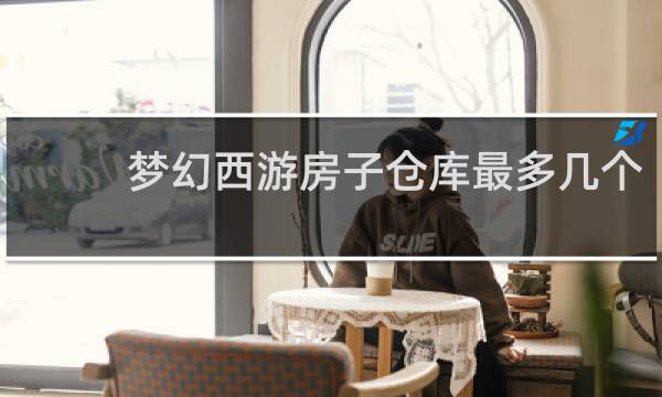 梦幻西游房子仓库最多几个