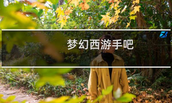 梦幻西游手吧