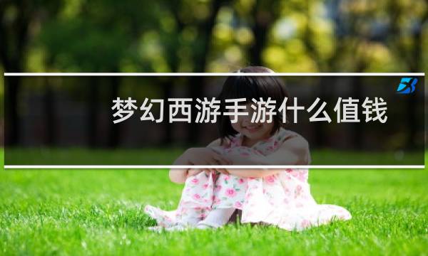 梦幻西游手游什么值钱