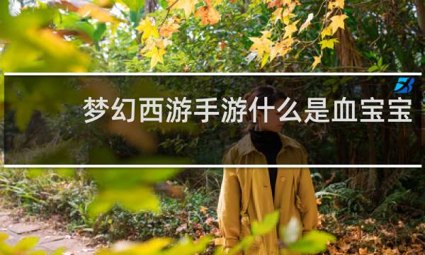 梦幻西游手游什么是血宝宝