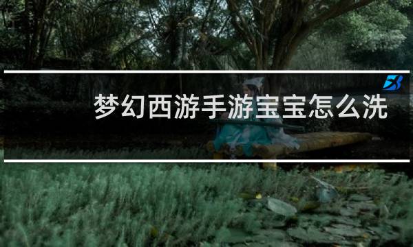 梦幻西游手游宝宝怎么洗