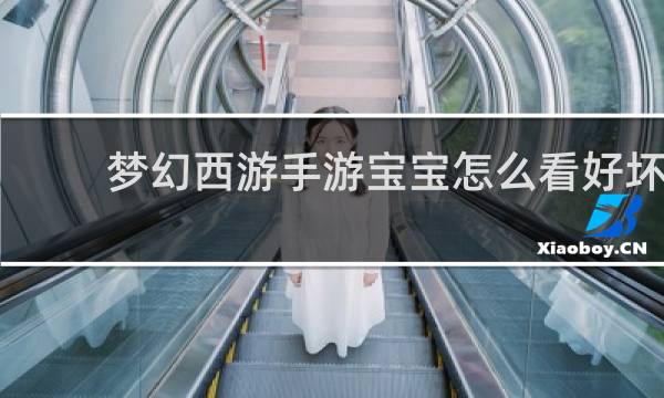 梦幻西游手游宝宝怎么看好坏