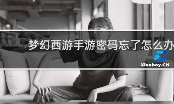 梦幻西游手游密码忘了怎么办