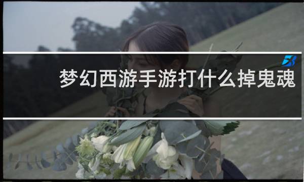 梦幻西游手游打什么掉鬼魂