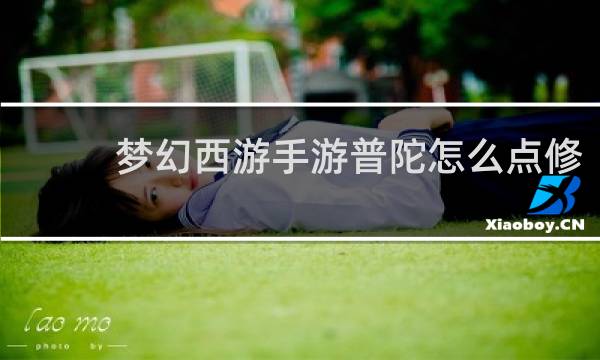梦幻西游手游普陀怎么点修