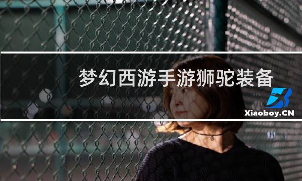 梦幻西游手游狮驼装备