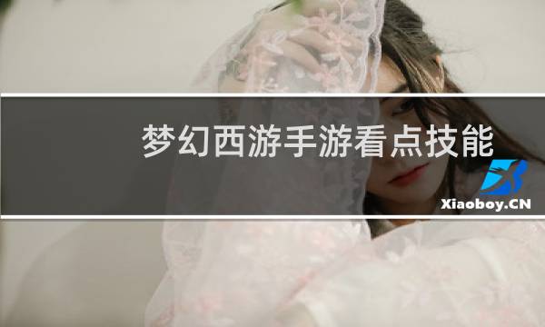 梦幻西游手游看点技能