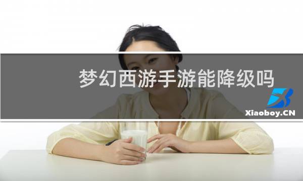 梦幻西游手游能降级吗